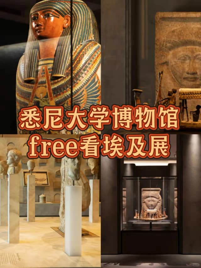 Come to the Chau Chak Wing Museum at Sydney University to experience a journey through a thousand years of history!
