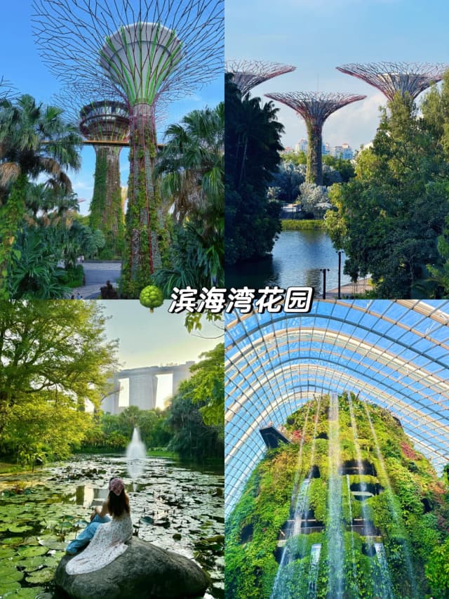 The light show at the Supertree Grove, set to music, is absolutely stunning and a magical experience.