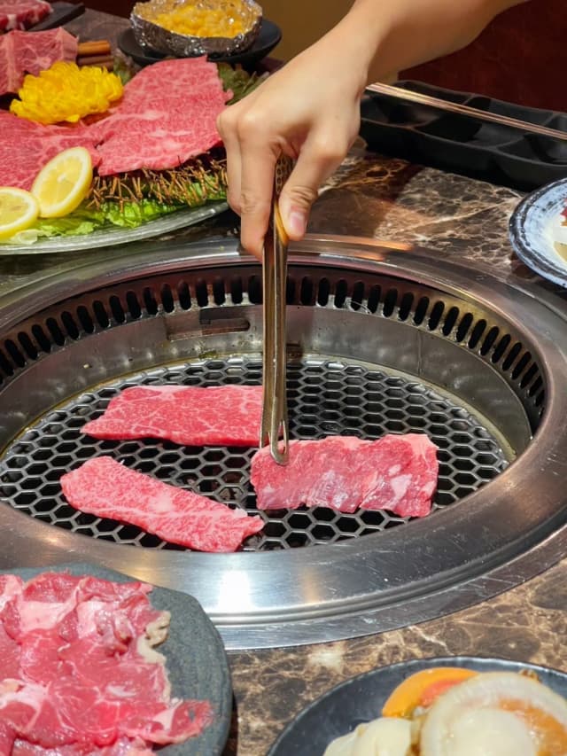This was the Yakiniku of a lifetime! From now on, all other grilled meat will just be a compromise. You really have to try it once!