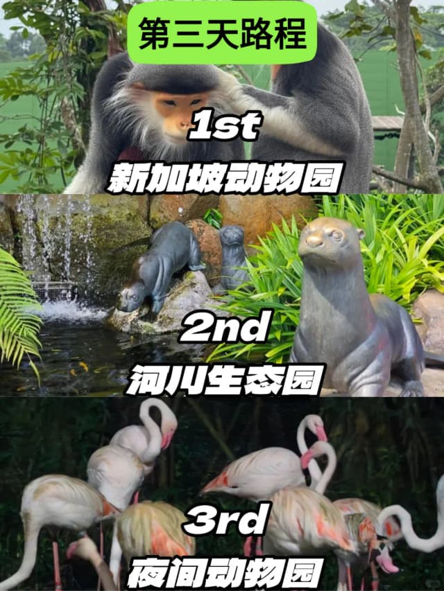 In one area, there's a particularly high net where birds fly at a true high altitude—while you can't make out the species, the sight is absolutely stunning.