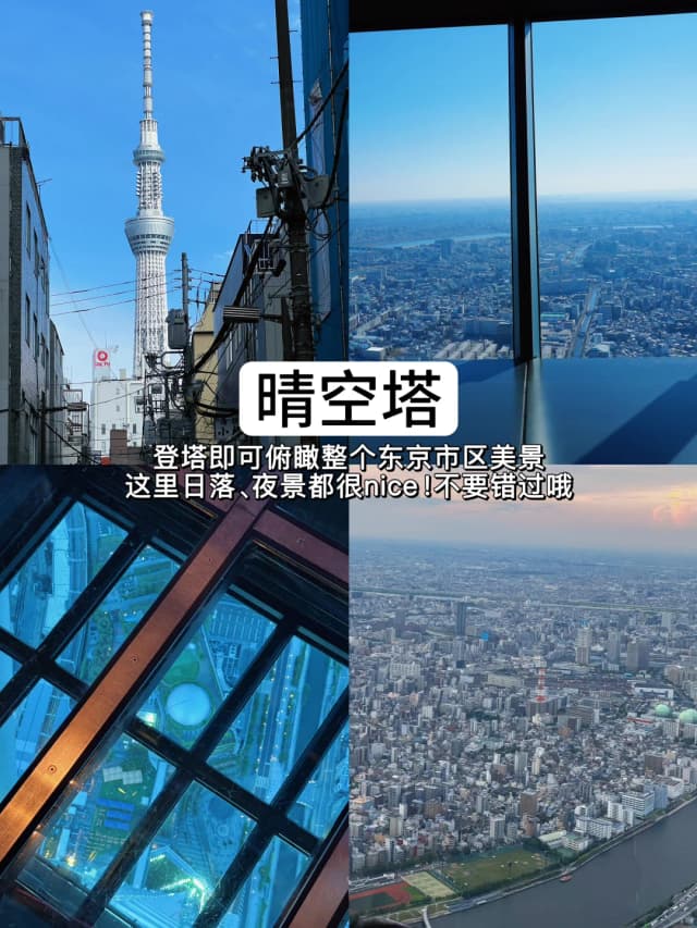 Overlook the entire city from 634 meters high—the transparent floor is super exciting!