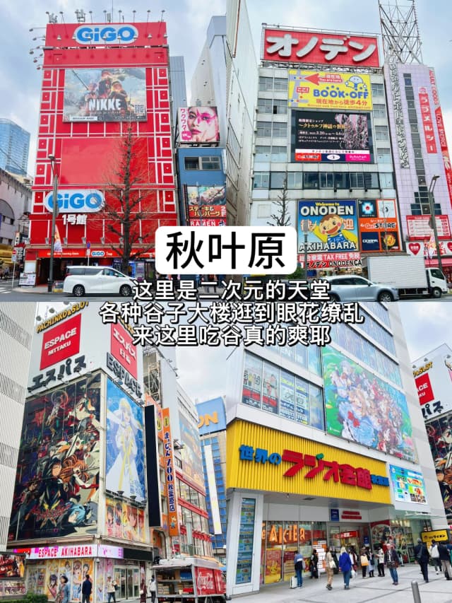 Akihabara is an otaku's paradise! Explore the figure shops and arcades, but remember to bring cash, as many of the smaller stores are cash-only.