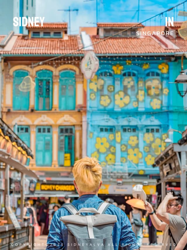 Bugis Street is the go-to spot for affordable goods, and with the air conditioning on full blast, it's super comfortable—perfect for escaping the midday heat.