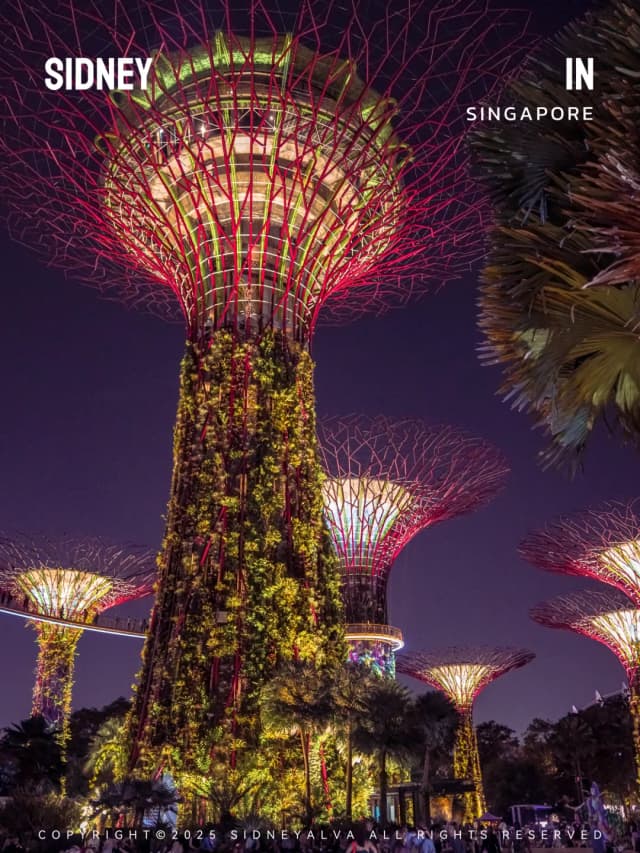Step into a real-life 'Avatar world' at Gardens by the Bay, where the Cloud Forest and Supertrees are absolutely stunning.