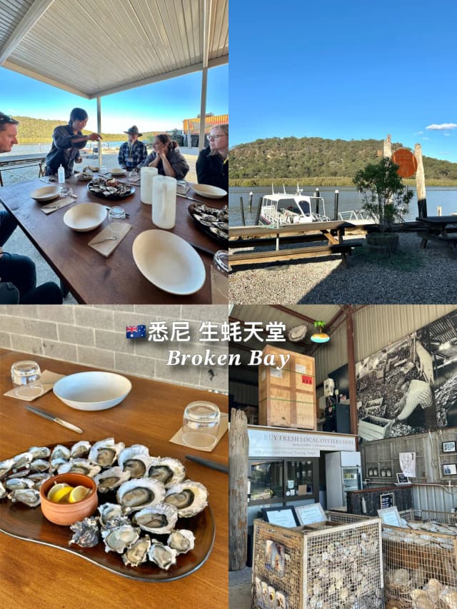 Broken Bay Pearl Farm offers an unforgettable oyster tasting experience with stunning seaside views, perfect for a romantic outing.