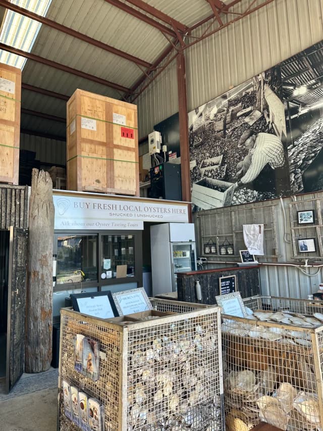 Discover the art of pearl grading while enjoying fresh oysters at Broken Bay Pearl Farm.