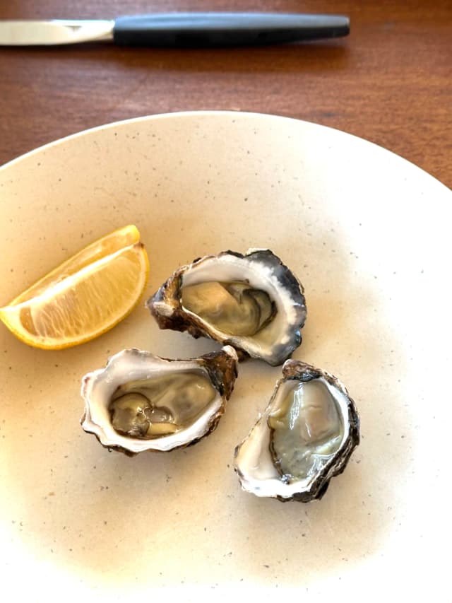 Eat freshly shucked oysters with breathtaking sea views at Broken Bay Pearl Farm.