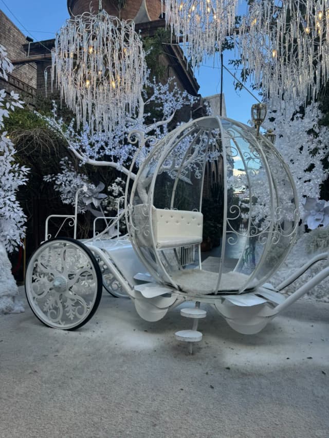 The Grounds of Alexandria: a breakfast spot perfect for photo-taking check-ins, as featured in a family-friendly Sydney itinerary.