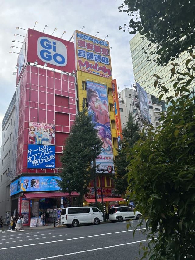 While many see Akihabara as just an anime paradise, insiders know its 'red, yellow, and green' buildings are the 'adult version of Disneyland'.