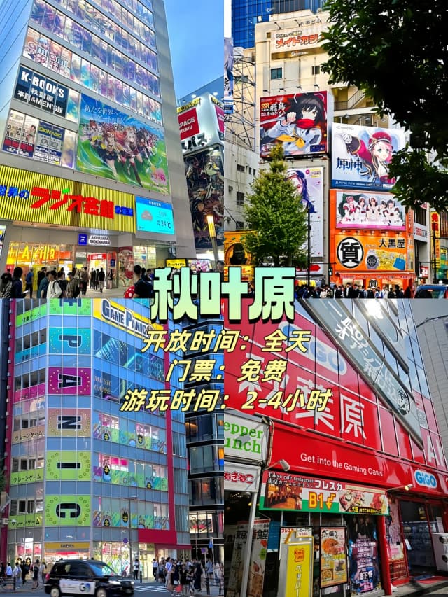 Pro tip for Akihabara: On Maid Street, always ask for prices before taking photos and be careful of hidden charges.