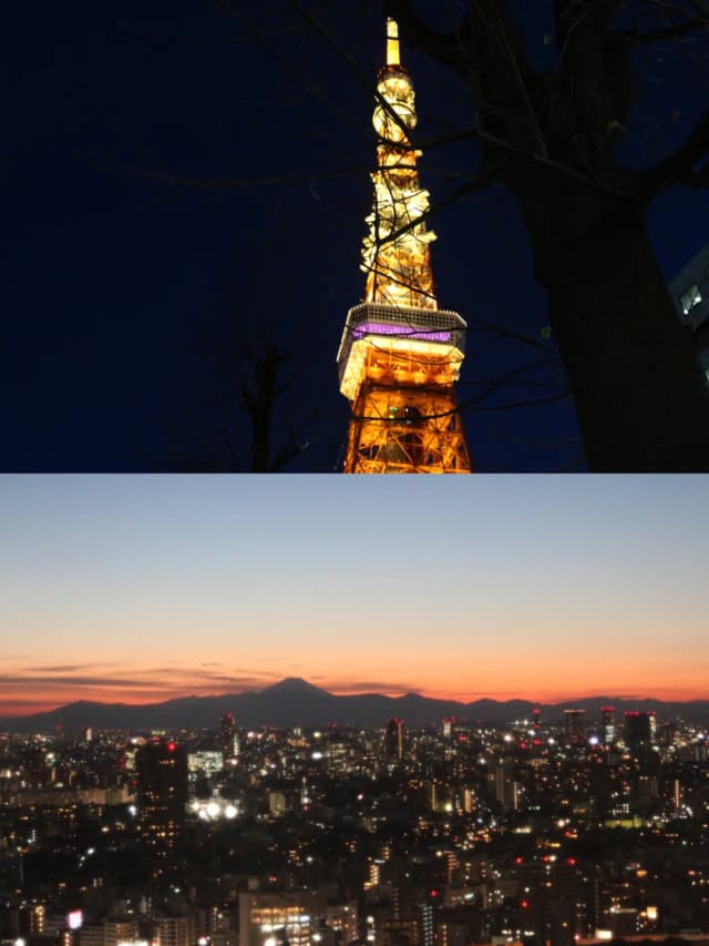 Don't miss Ueno Park—Japan's first public park and a prime spot for viewing the stunning spring cherry blossoms.
