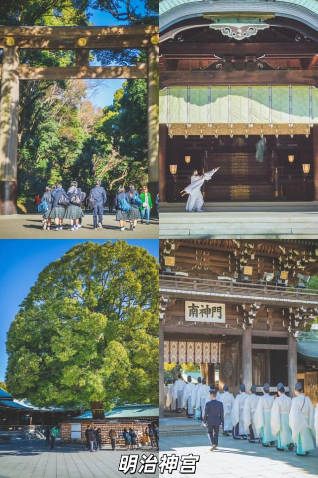 So lucky to have caught the Autumn Grand Festival and Chrysanthemum Exhibition — seeing ancient Japanese cultural ceremonies up close for the first time was absolutely stunning!