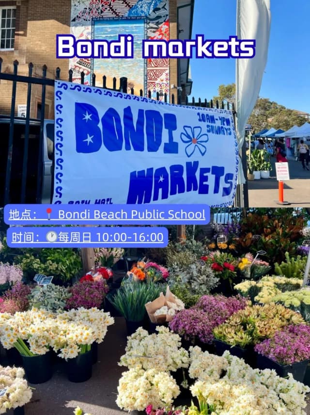 Embark on the 6 km Bondi to Coogee coastal walk for a 2-3 hour adventure with breathtaking ocean views.