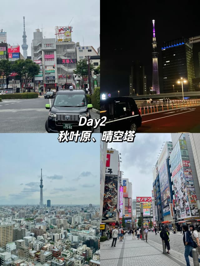 When buying figurines in Akihabara, don't be impulsive; make sure you compare prices at several stores.