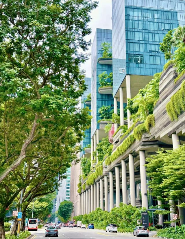 Upon landing and seeing the diverse languages and different ethnic groups on the subway, I was genuinely thrilled by this sense of difference and novelty.