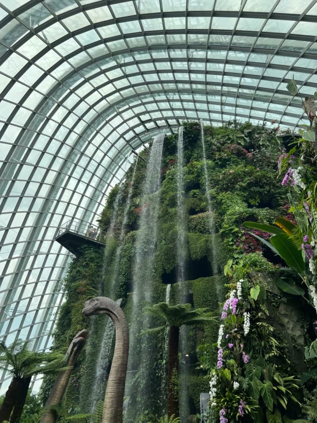 Step into a real-life 'Avatar World'—the Cloud Forest and Supertrees are simply breathtaking.