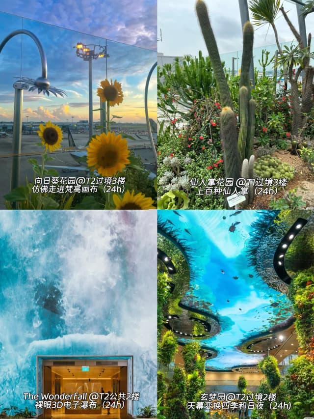 More than just a travel hub, Changi Airport is a destination in its own right, where your Singapore adventure begins the moment you land.