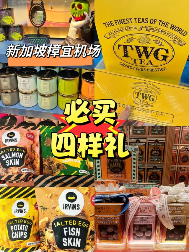 Forget just catching a flight. We arrived at Changi Airport 4.5 hours early because Jewel Changi, hailed as the world's most beautiful airport, is truly a destination in itself.