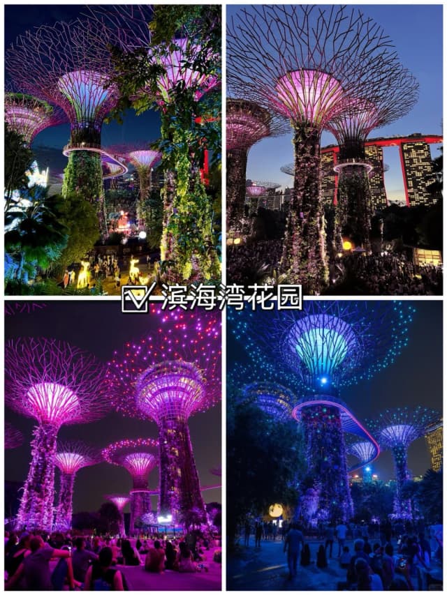 Explore cultural districts and urban prosperity to unlock the diverse side of Singapore.