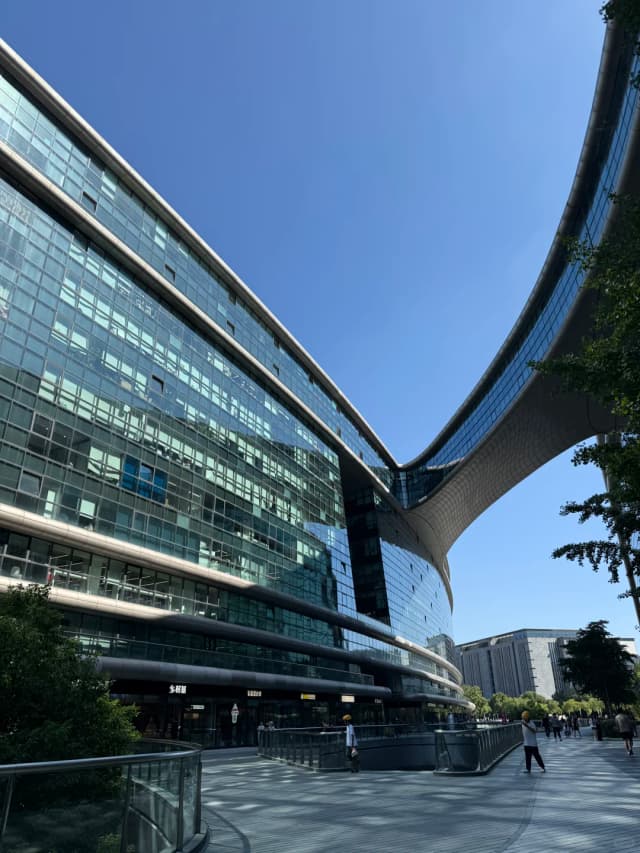 Shanghai's Citizen Night Schools are an unmissable city benefit, offering affordable courses in everything from dance and painting to niche traditional arts.