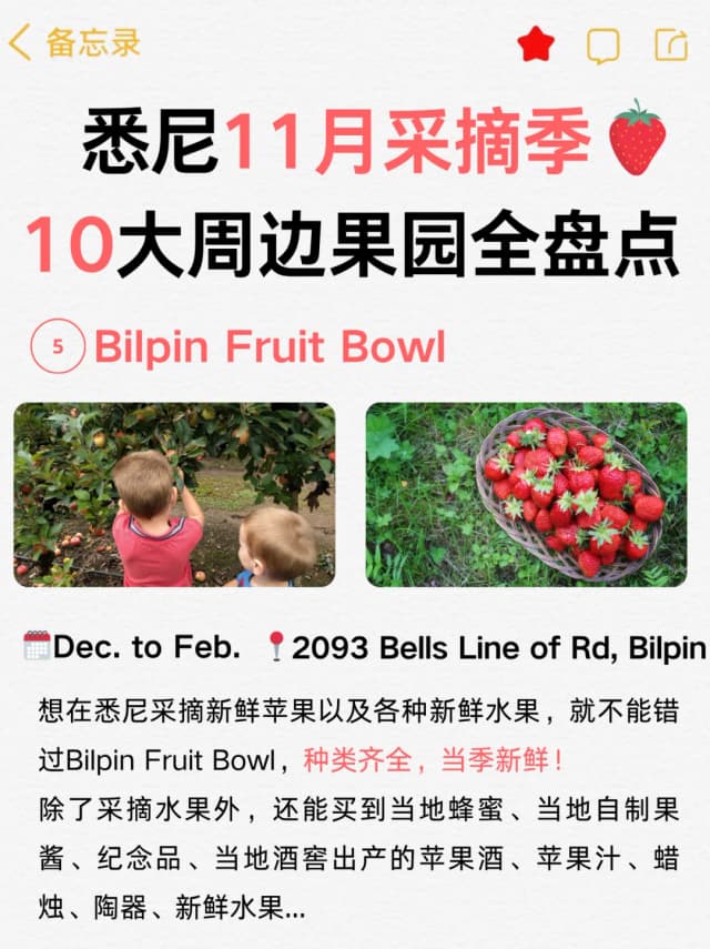 Most orchards are just 1-2 hours drive from Sydney, perfect for a day trip escape!