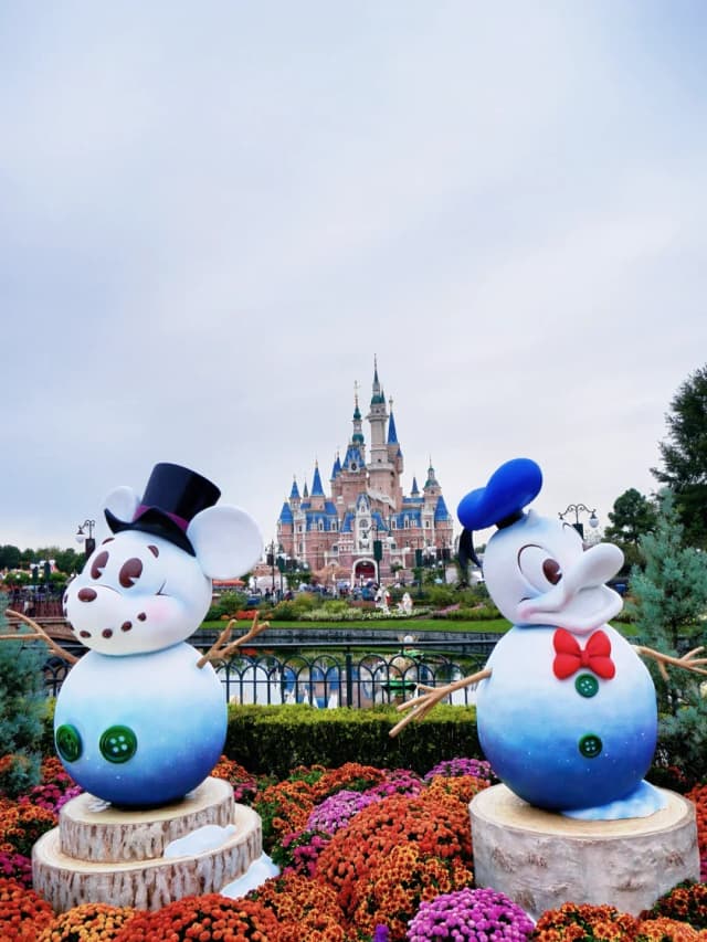 Since the park is quite remote, a round trip from the city center can take about four hours, making for a very tiring day.