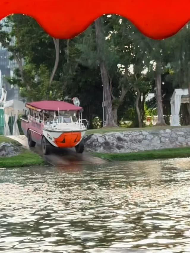 The land and water Duck Boat is super exciting; the moment it splashes into the water, the whole boat screams!