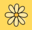 daisy.club favicon